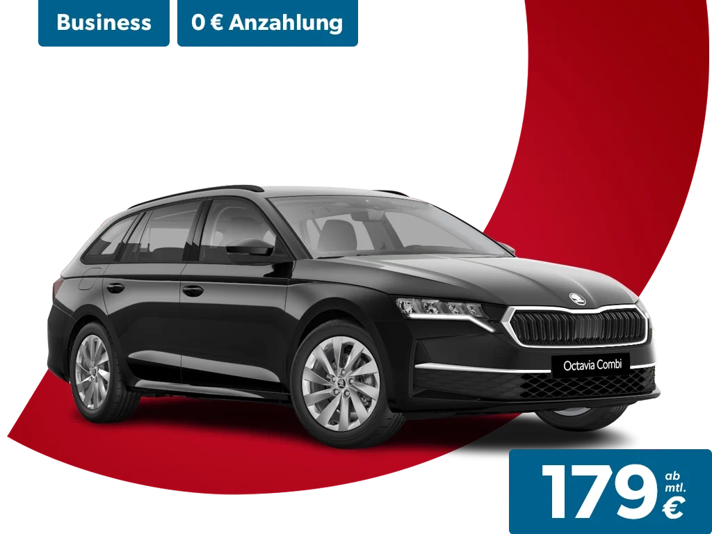 Octavia 1024x768 b 179