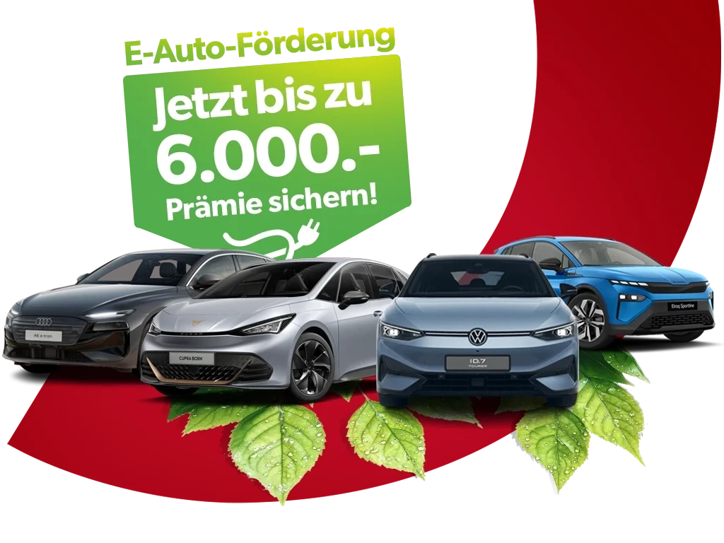 E Auto Header