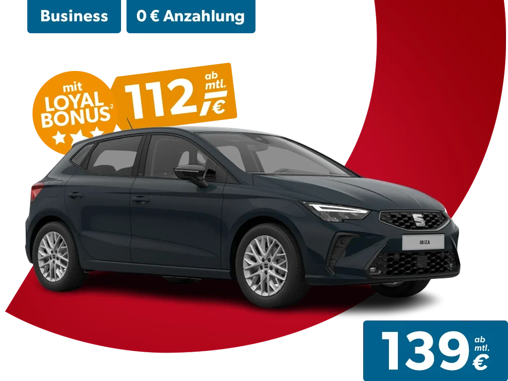260408 Seat Ibiza B Web Kopie