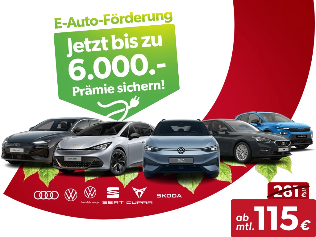 E Auto Header komplett
