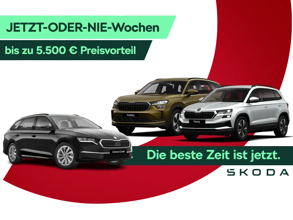 Skoda JETZT ODER NIE